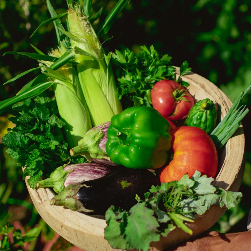 Vegetales frescos