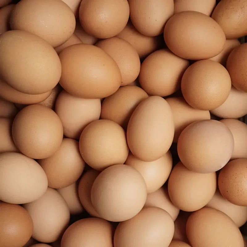 Huevos